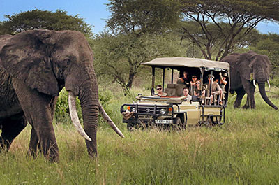 Kenya / Tanzania safari 